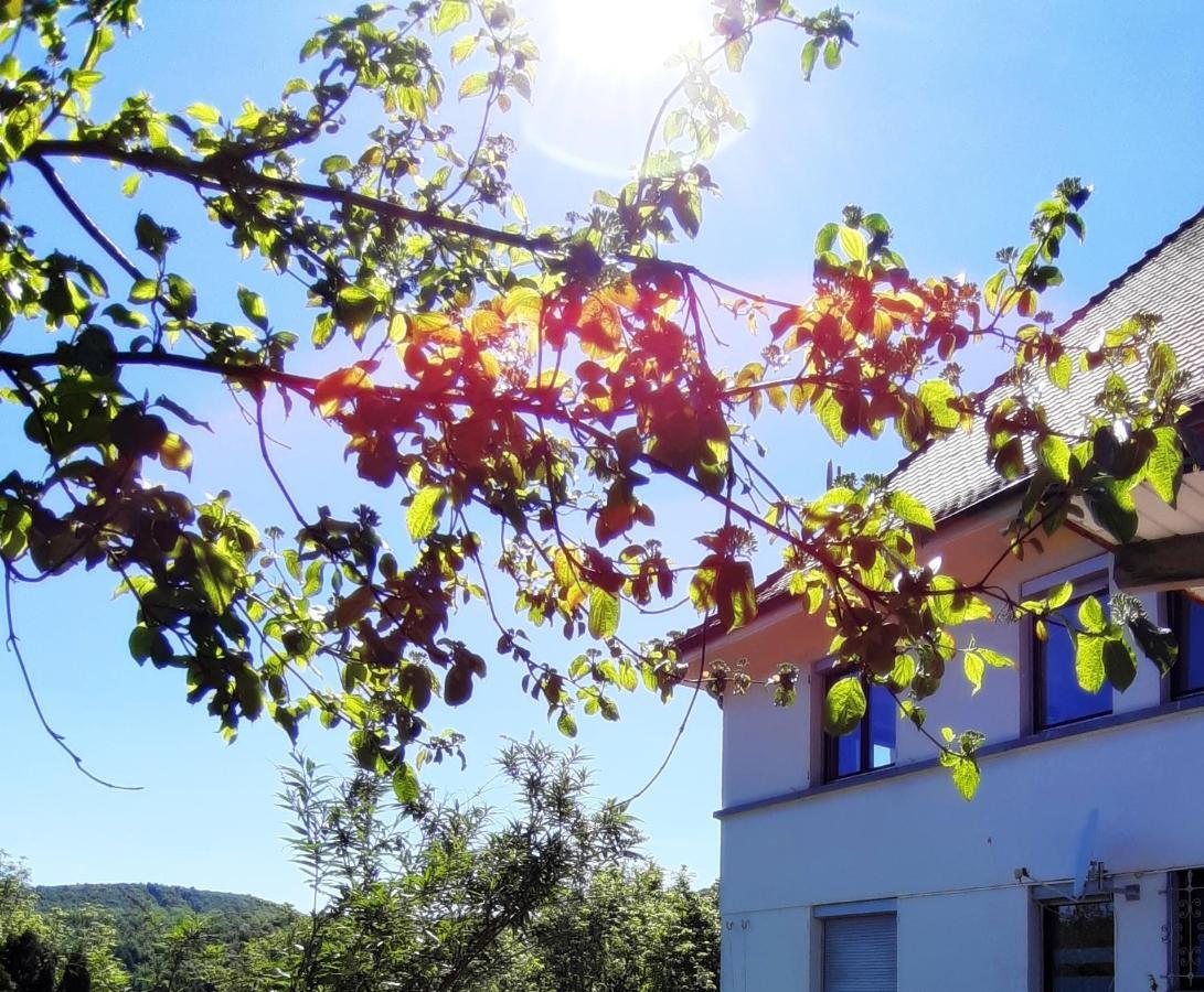 Ferienwohnung Albstadt Panorama Exterior photo